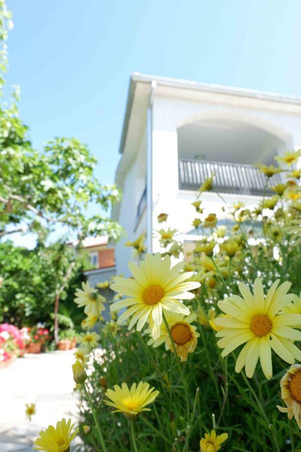 Apartment Ponos Krk Town Exterior foto